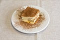 Piece of tiramisu cake with its typical layers sprinkled with cocoa Royalty Free Stock Photo