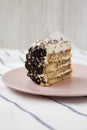 A piece of tiramisu cake on a pink plate, side view. Close-up