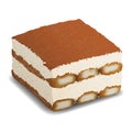 Piece of Tiramisu cake. Realistic vector dessert illustration isolated on white background