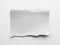 Torn paper note on white background Royalty Free Stock Photo