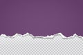 Piece of torn, ripped purple paper strip with soft shadow are on grey transparent background for text. Vector