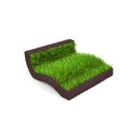 A piece of turf with grass Royalty Free Stock Photo