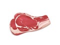 Piece of uncooked fresh meat realistic vector