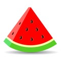 Watermelon vector cartoon