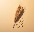 A piece of wheat is being poured into a piece of wood with cream background