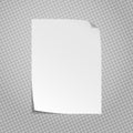 Piece of white notebook, note paper with curled corners and soft shadow is on squared background for text. Vector Royalty Free Stock Photo