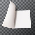 Piece of white paper