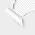 Paper torn hole edge realistic vector illustration Royalty Free Stock Photo