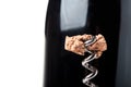 Piece of wine cork on a corkscrew Royalty Free Stock Photo