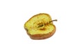 Piece of withering apple half , not fresh fruit, isolated object, design element Royalty Free Stock Photo