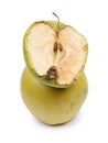 Piece of withering apple Royalty Free Stock Photo
