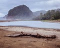 A piece of wood on the coast with views of trees and cliffs in the distance