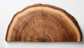 Piece of wood in cross section with texture pattern isolated on white background. Natural material Royalty Free Stock Photo