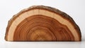 Piece of wood in cross section with texture pattern isolated on white background. Natural material Royalty Free Stock Photo
