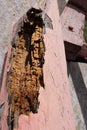 Wood rotten in old building. Royalty Free Stock Photo