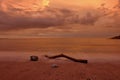 A piece of wood on the sand of Kuta Bali beach at dusk