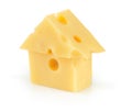 Piece of yellow porous cheese