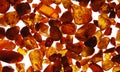 Pieces of amber