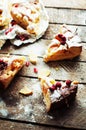 Pieces of apple pie sprinkled with powdered sugar. Homemade cut apple cake decorated slices of lemon and green spruce branches and Royalty Free Stock Photo