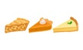 Pieces of Baked Sweet Pie with Filling and Crust Made of Shortcrust Pastry Vector Set