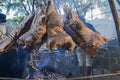 Pieces of beef carcass on the grill, traditional Argentinean food