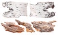 Pieces of birch and pine bark isolated on white Royalty Free Stock Photo