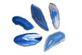 Pieces of blue agate