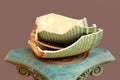Pieces of broken flower pot Royalty Free Stock Photo