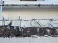 Pieces of broken glass cemented on top of barbed wire fence for protection of any intruder climbing Royalty Free Stock Photo