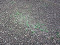 Pieces of broken green glass on an asphalt Royalty Free Stock Photo