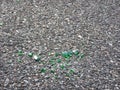 Pieces of broken green glass on an asphalt Royalty Free Stock Photo