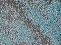 Pieces of broken shattered windshield car glass on ground. Vandalism, insurance, alarm concept Royalty Free Stock Photo
