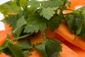 Pieces of carrot and parsley macro Royalty Free Stock Photo