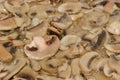 Pieces of champignons with onions Royalty Free Stock Photo