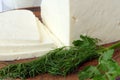 Pieces of cheese from natural milk on a clay plate with a sprig of fresh dill 1