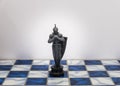 A pieces of chess character on the board with a light. A character represents strategy, planning, brave, betrayal, confrontation a Royalty Free Stock Photo