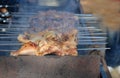 Pieces of chicken grilled Royalty Free Stock Photo