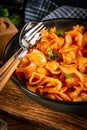 Pieces of chicken with noodle in tomato and herb sauce