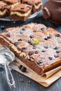 Pieces of chocolate cheesecake brownies with blackberry Royalty Free Stock Photo