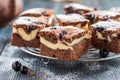 Pieces of chocolate cheesecake brownies with blackberry Royalty Free Stock Photo