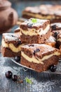 Pieces of chocolate cheesecake brownies with blackberry Royalty Free Stock Photo