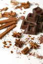 Pieces of chocolate, cinnamon, star anise and cocoa powder on the white background Royalty Free Stock Photo