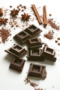 Pieces of chocolate, cinnamon, star anise and cocoa powder on the white background Royalty Free Stock Photo