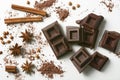 Pieces of chocolate, cinnamon, star anise and cocoa powder on the white background Royalty Free Stock Photo