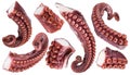 Pieces of cooked devil-fish or octopus arms. Clipping paths. Royalty Free Stock Photo