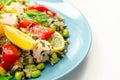 Pieces of cooked salmon and edamame soya beans with red pepper  and baby leaf spinach, served with brown long grain rice with Royalty Free Stock Photo