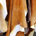 Pieces of cowhide are white brown. Semiproduct. Royalty Free Stock Photo