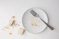 Pieces and crumbs of wafer and cookie with plate and fork on white background