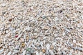 Pieces of dead bleached coral reef washed out on a beach after coral bleaching event on Mahe Island, Seychelles