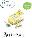 Pieces of delicious Gourmet Organic Parmesan Cheese with basil